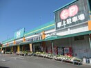 OKホーム＆ガーデン多良見店(電気量販店/ホームセンター)まで347m シャーメゾン　グリーン　Ａ棟