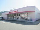 ファッションセンターしまむら多良見店(ショッピングセンター/アウトレットモール)まで384m シャーメゾン　グリーン　Ａ棟