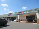まるたか生鮮市場多良見店(スーパー)まで1102m グランド ソレイユ