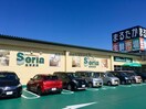 Seria生活良品まるたか幸町店(ディスカウントショップ)まで359m サニーハイツ