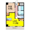 ラピュタ 1LDKの間取り