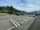  リッチジャスミン