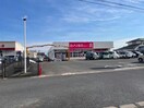 ダイソーエレナ高来店(ディスカウントショップ)まで1252m 長崎本線/湯江駅 徒歩17分 1階 築13年