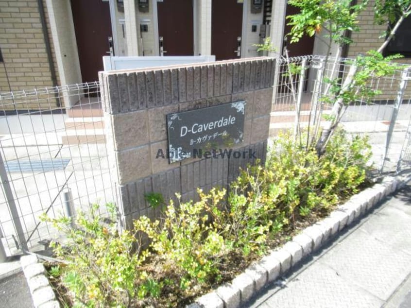  Ｄ-カヴァデール