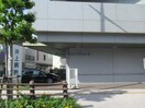 社会医療法人春回会井上病院(病院)まで391m Gracery緑町