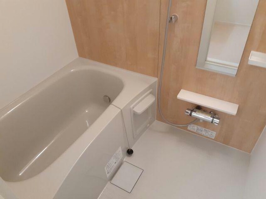  Ｓａｉｎｔ　Ｓｔｅｉｎ