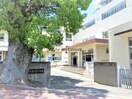 諫早市立喜々津小学校(小学校)まで680m セジュール松尾
