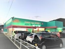 ディスカウントドラッグコスモス矢上店(ドラッグストア)まで779m リバーサイド　ヴィラ