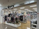 ワッツ諫早栄町アエルイースト店(ディスカウントショップ)まで804m リバープレイン八天Ⅰ