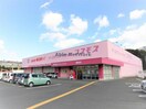 ディスカウントドラッグコスモス溝陸店(ドラッグストア)まで5370m ウィットＰＳＩ
