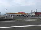 DiREX愛野店(ディスカウントショップ)まで1237m 島原鉄道/愛野駅 徒歩26分 1階 1年未満