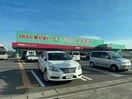 ディスカウントドラッグコスモス東諫早店(ドラッグストア)まで718m ＴＫＹ　ヴィレッジC