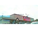 エレナ島原栄町店(スーパー)まで1167m レジデンス　ミルトフリーデンⅠ