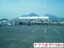 ホームプラザナフコ島原店(電気量販店/ホームセンター)まで2638m レジデンス　ミルトフリーデンⅠ