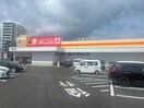 DiREX多良見店(ディスカウントショップ)まで2524m ソラリオ