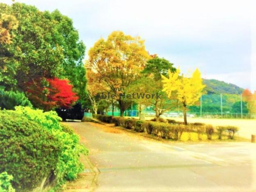 天満宮公園(公園)まで1035m ソラリオ