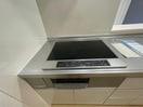 同型モデル参考写真 ビオルネⅡ