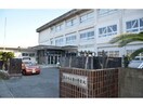 島原市立第一中学校(中学校/中等教育学校)まで1246m ビオルネⅡ