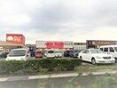 ダイソー島原店(ディスカウントショップ)まで1362m ビオルネⅡ