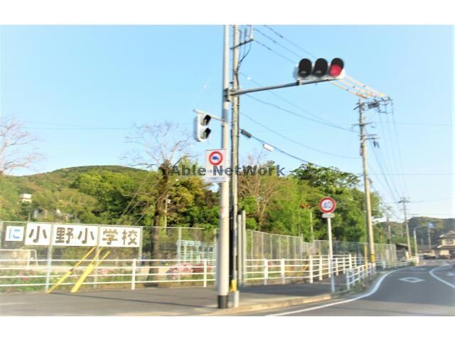 諫早市立小野小学校(小学校)まで1254m マーベラス　サライA