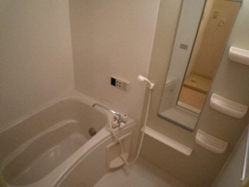  クリサンセマムⅴ