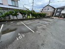 フリーダム