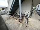  フリーダム
