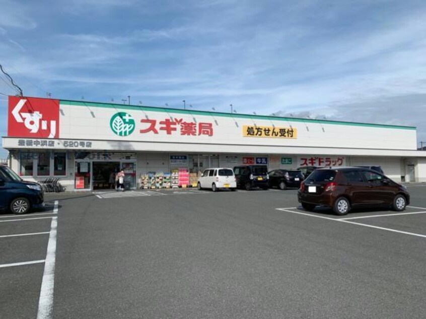 スギ薬局豊橋中浜店(ドラッグストア)まで445m フリーダム