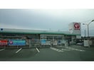 コメリハード＆グリーン野依店(電気量販店/ホームセンター)まで2410m グリーンハイツ藤ヶ谷Ⅱ