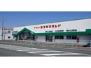 （株）ヨコモク(電気量販店/ホームセンター)まで2645m グリーンハイツ藤ヶ谷Ⅱ