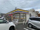ミニストップ豊橋前田南町店(コンビニ)まで883m サンハイムエコ