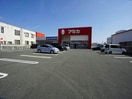 アミカ豊橋店(スーパー)まで786m グランド・シティー