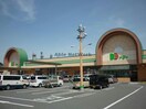 ドミー小坂井店(スーパー)まで3021m メゾンドプラージュⅡ