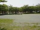 竜ケ池公園(公園)まで590m ヴィラヒルズⅠ