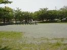 竜ケ池公園(公園)まで676m サンシティ小野田