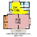 ウイングコートハイネス大石の間取図