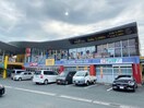 ゲオ田原店(ビデオ/DVD)まで980m シティハイツ巴