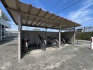  ブラウンエイトA・B