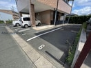  ソフィア