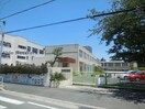 豊橋市立松葉小学校(小学校)まで396m スタジオ・アミ