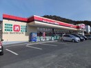 やまや多米店(ディスカウントショップ)まで343m ライズコート