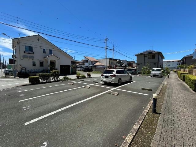  セルリアンコート