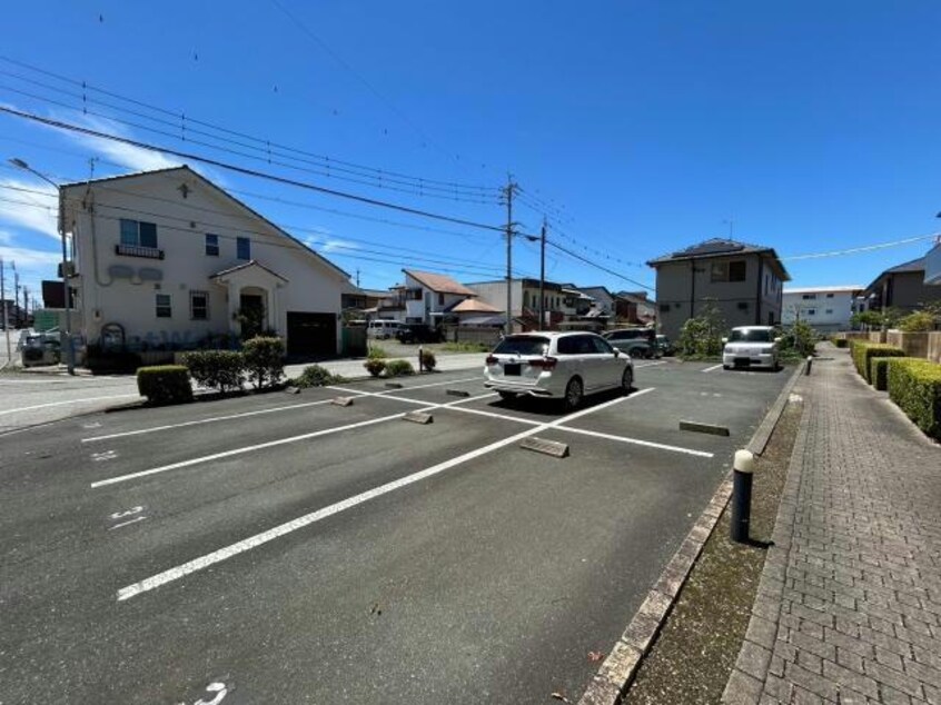  セルリアンコート