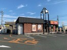 すき家1国豊橋下地店(その他飲食（ファミレスなど）)まで646m プラタエムⅡ