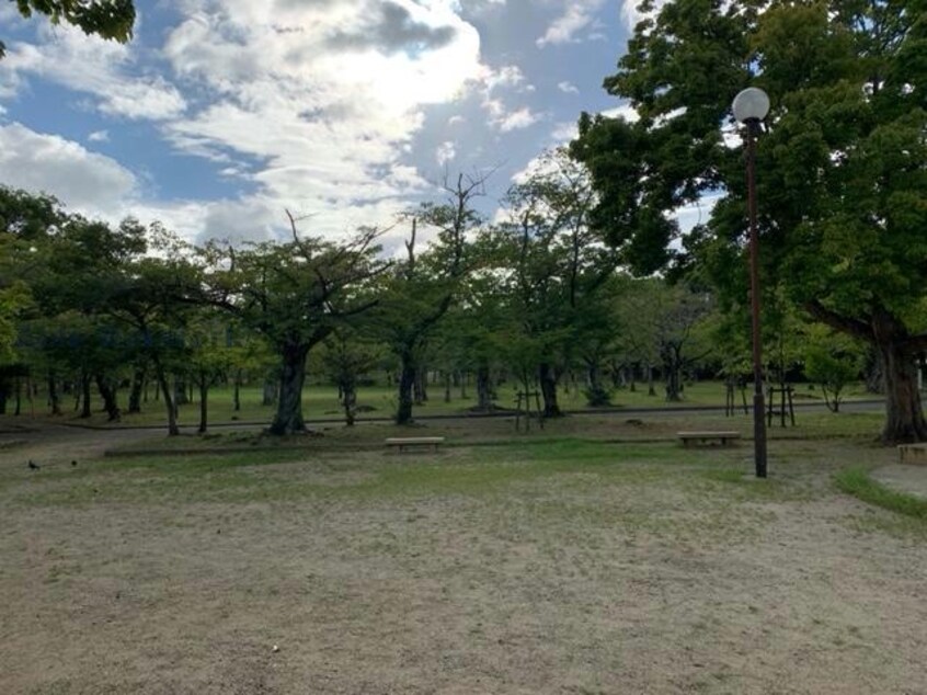 第11号向山台緑地(公園)まで758m ノイエス前田南