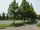 中山田池公園(公園)まで1102m ガーデンアベリア