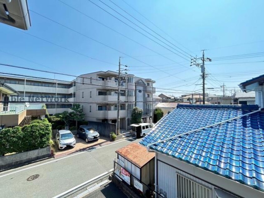  ミナミタウンスギ