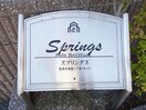  スプリングス