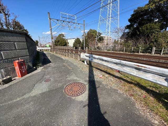  ガーデン・アカシア