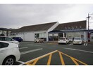 （株）精文館書店二川店(本屋)まで1096m セジュールオッツSからさわ
